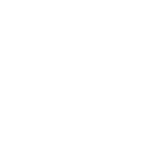 AI+